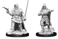 Pathfinder Deep Cuts Unpainted Miniatures: W13 Human Rogue Male